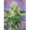 Crystal Candy